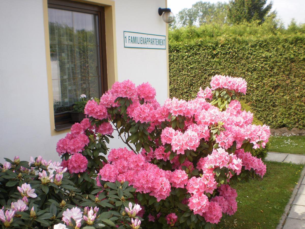 Privat Buk 100 Apartment Jindrichuv Hradec Luaran gambar